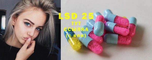 дживик Чердынь