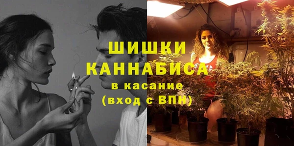 дживик Чердынь